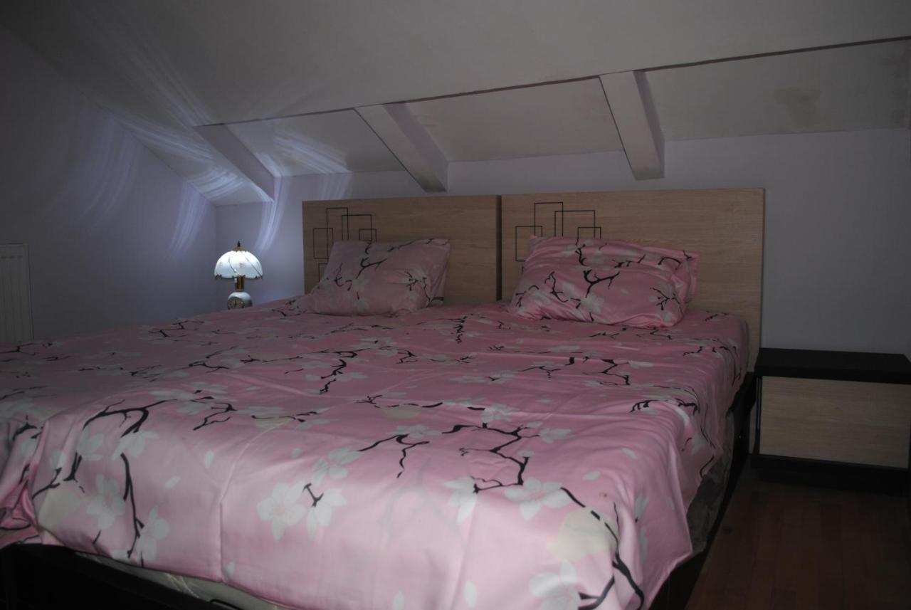 Family Guesthouse - Macharashvili Tbilisi Esterno foto