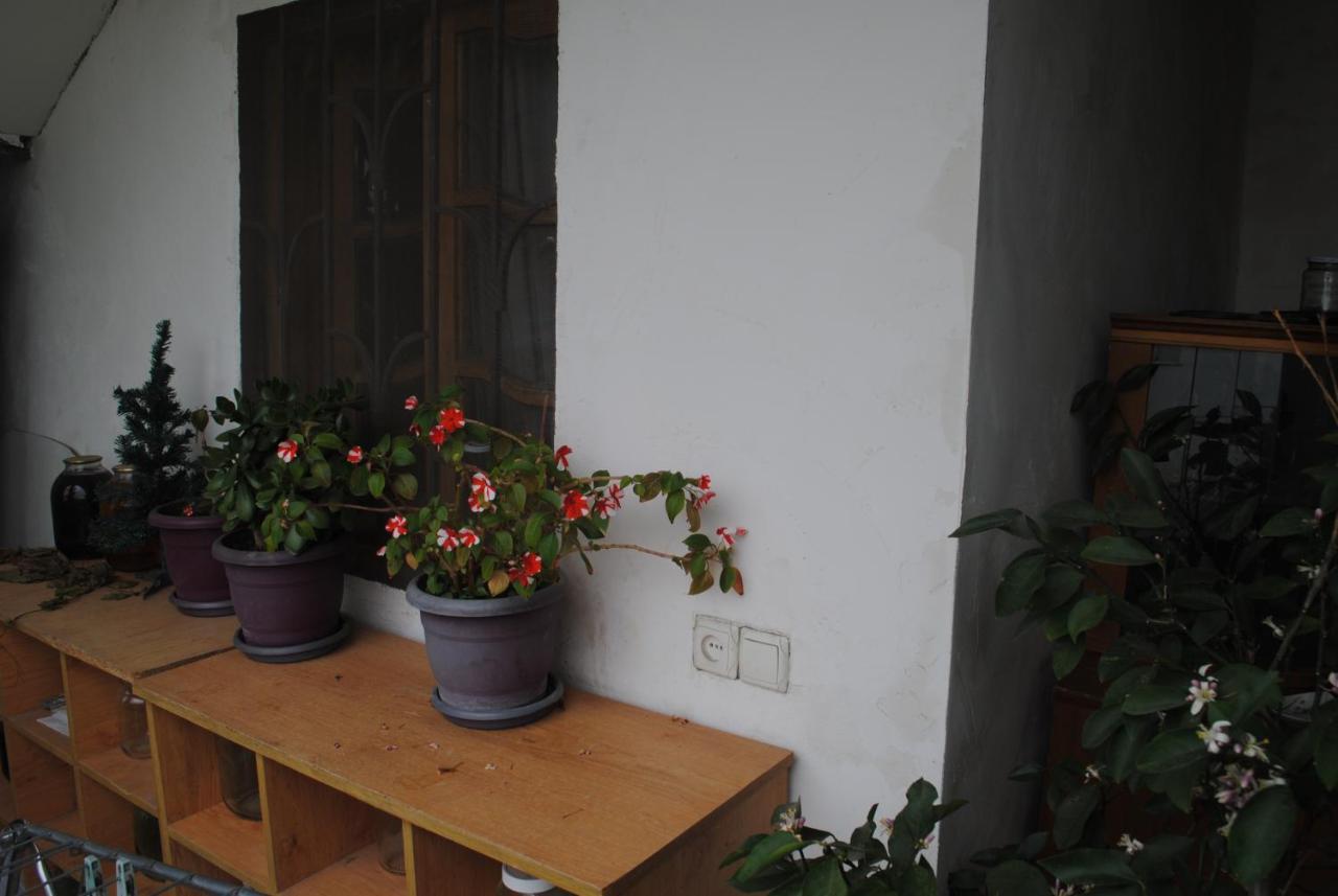 Family Guesthouse - Macharashvili Tbilisi Esterno foto